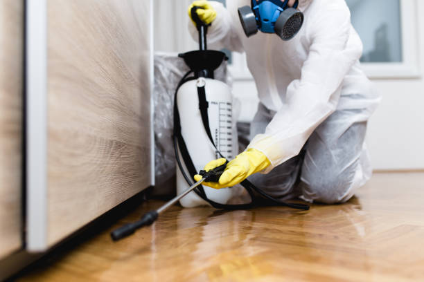 East Lake Orient Park, FL Pest Control Company