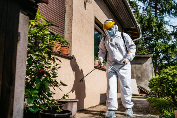 Best Pest Control Near Me  in East Lake Orient Park, FL