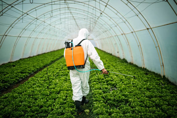 Best Best Pest Control Companies  in East Lake Orient Park, FL