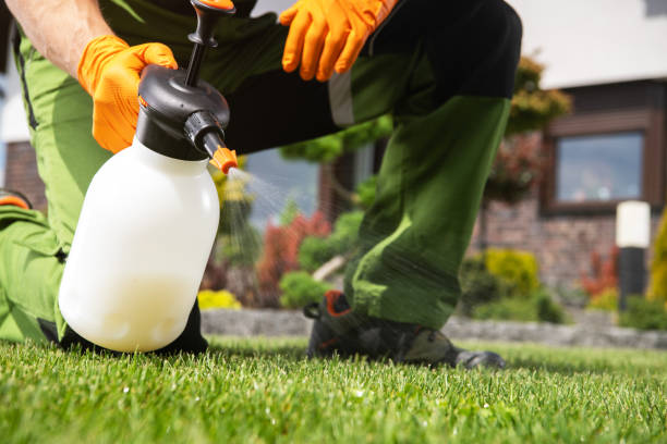 Best Termite Control Services  in East Lake Orient Park, FL