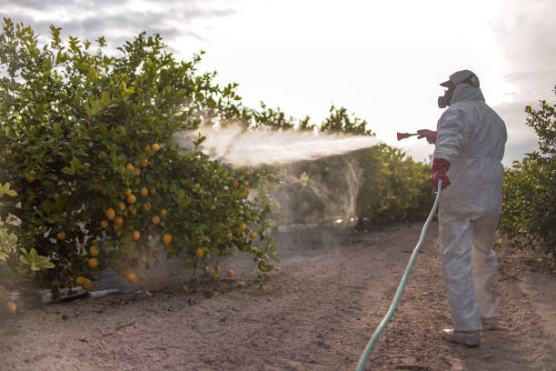 Best Pest Removal Services  in East Lake Orient Park, FL